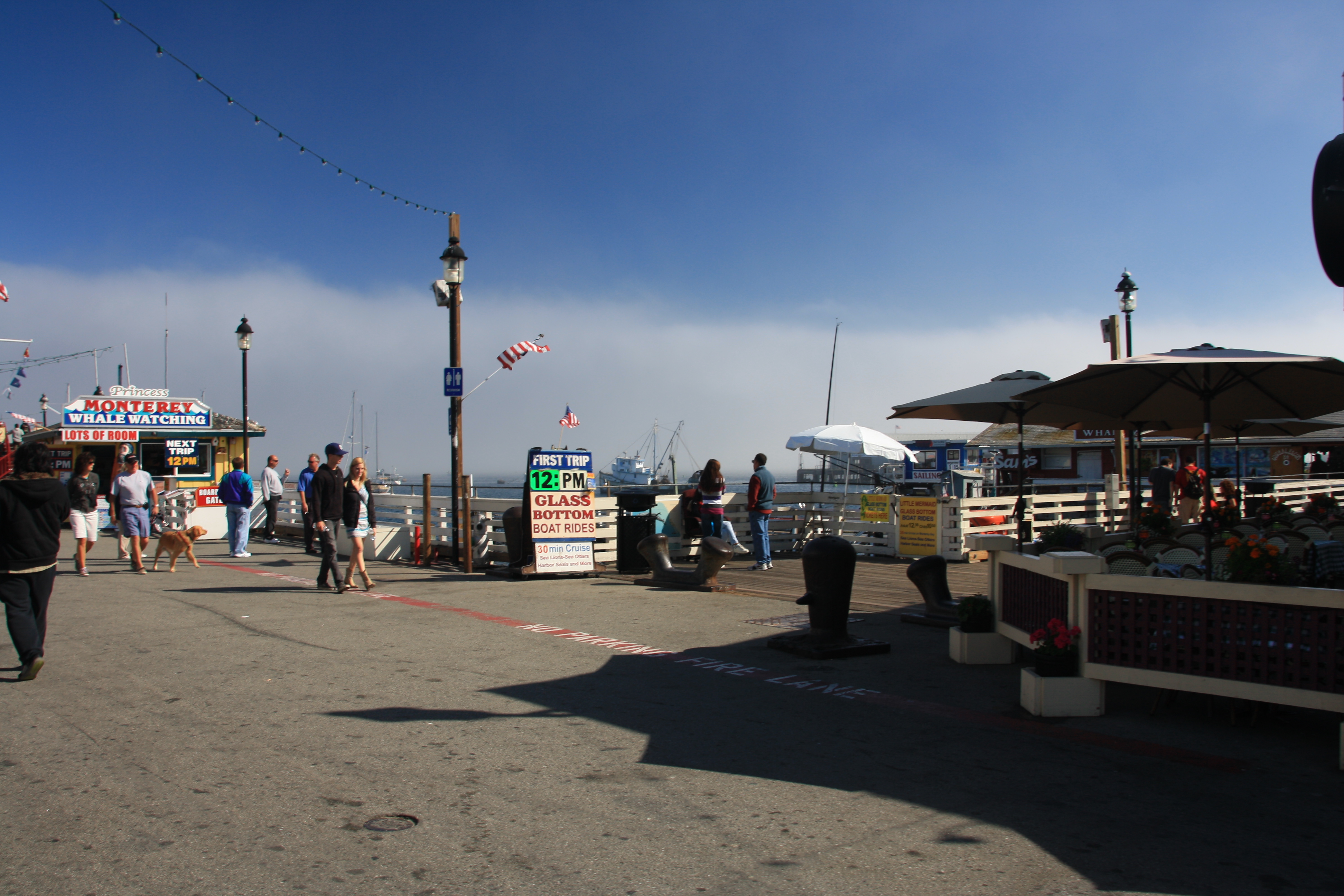IMG_2678.JPG