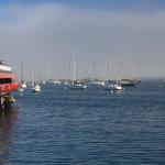 IMG_2679.JPG