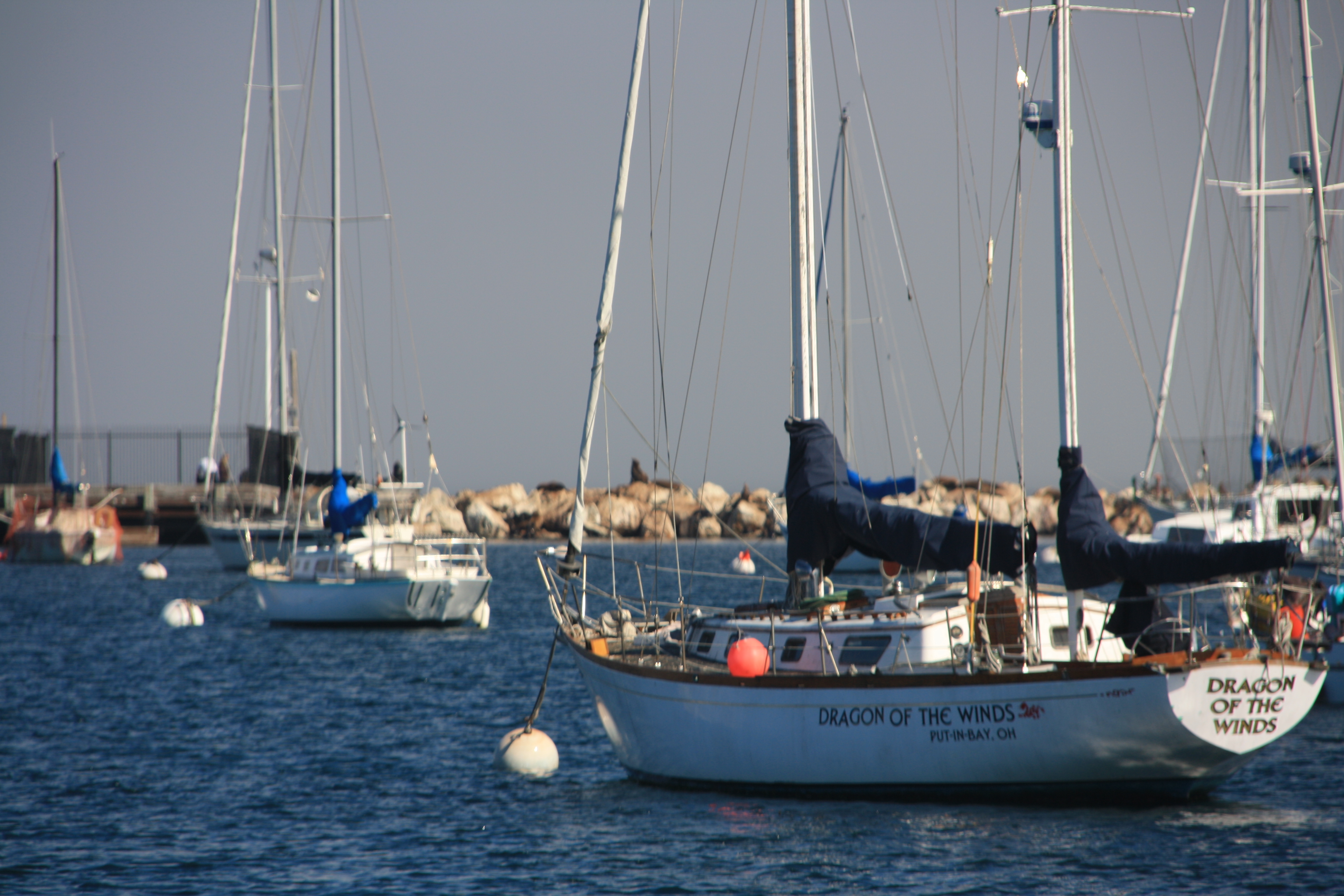 IMG_2681.JPG