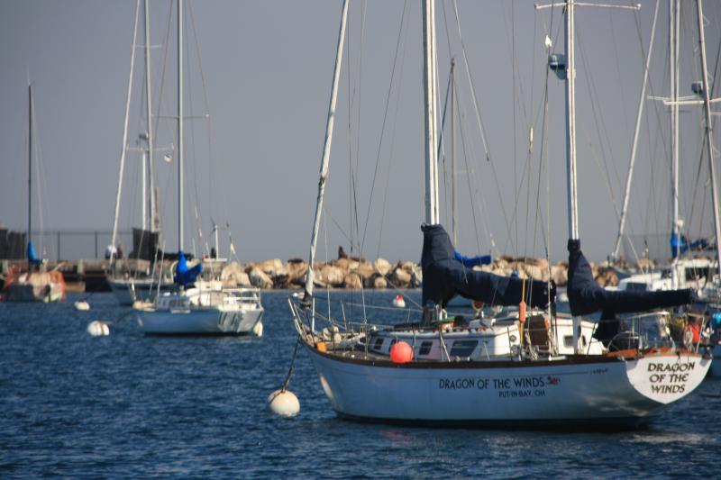 IMG_2681.JPG