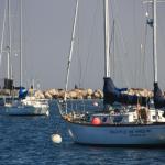 IMG_2681.JPG