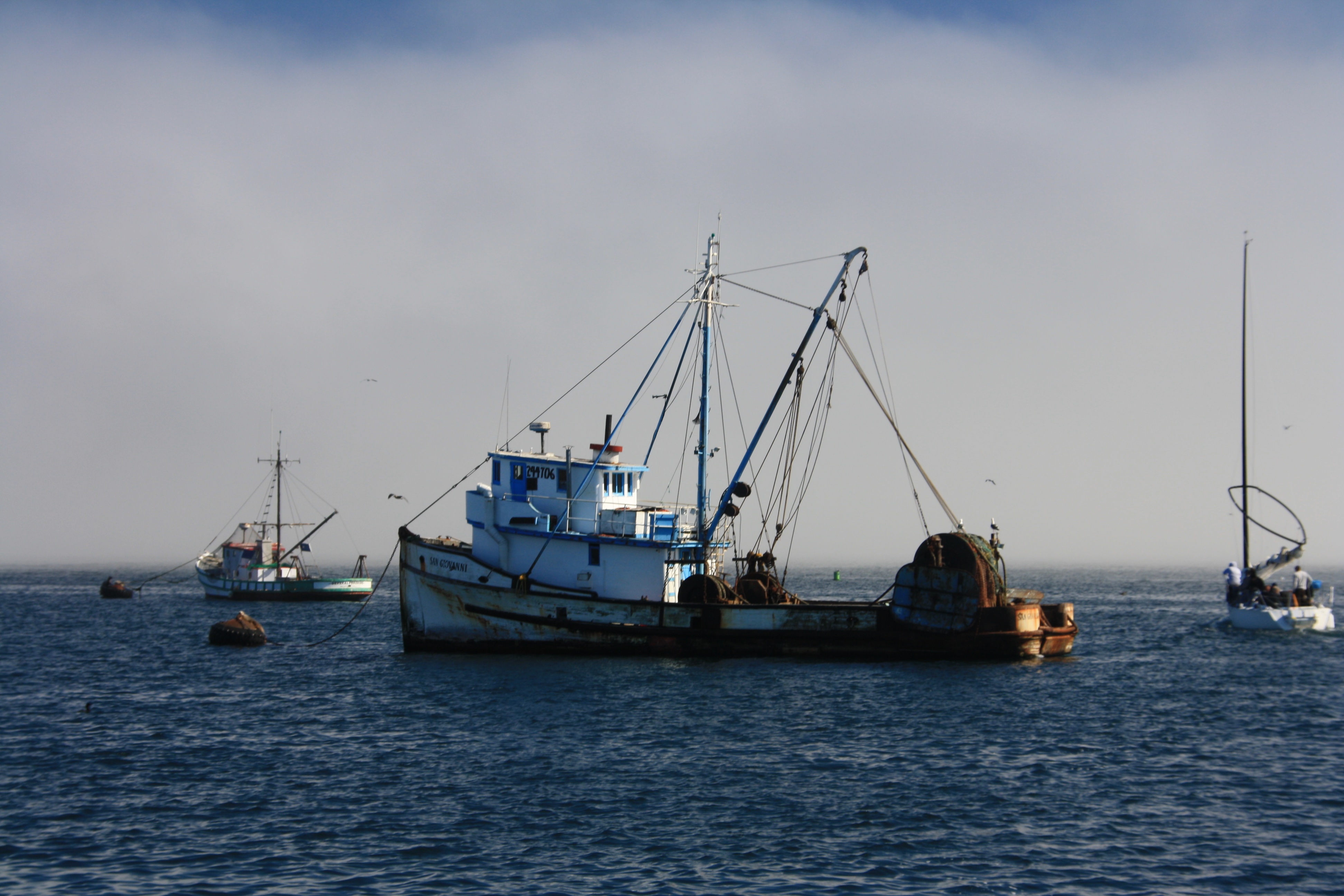IMG_2685.JPG