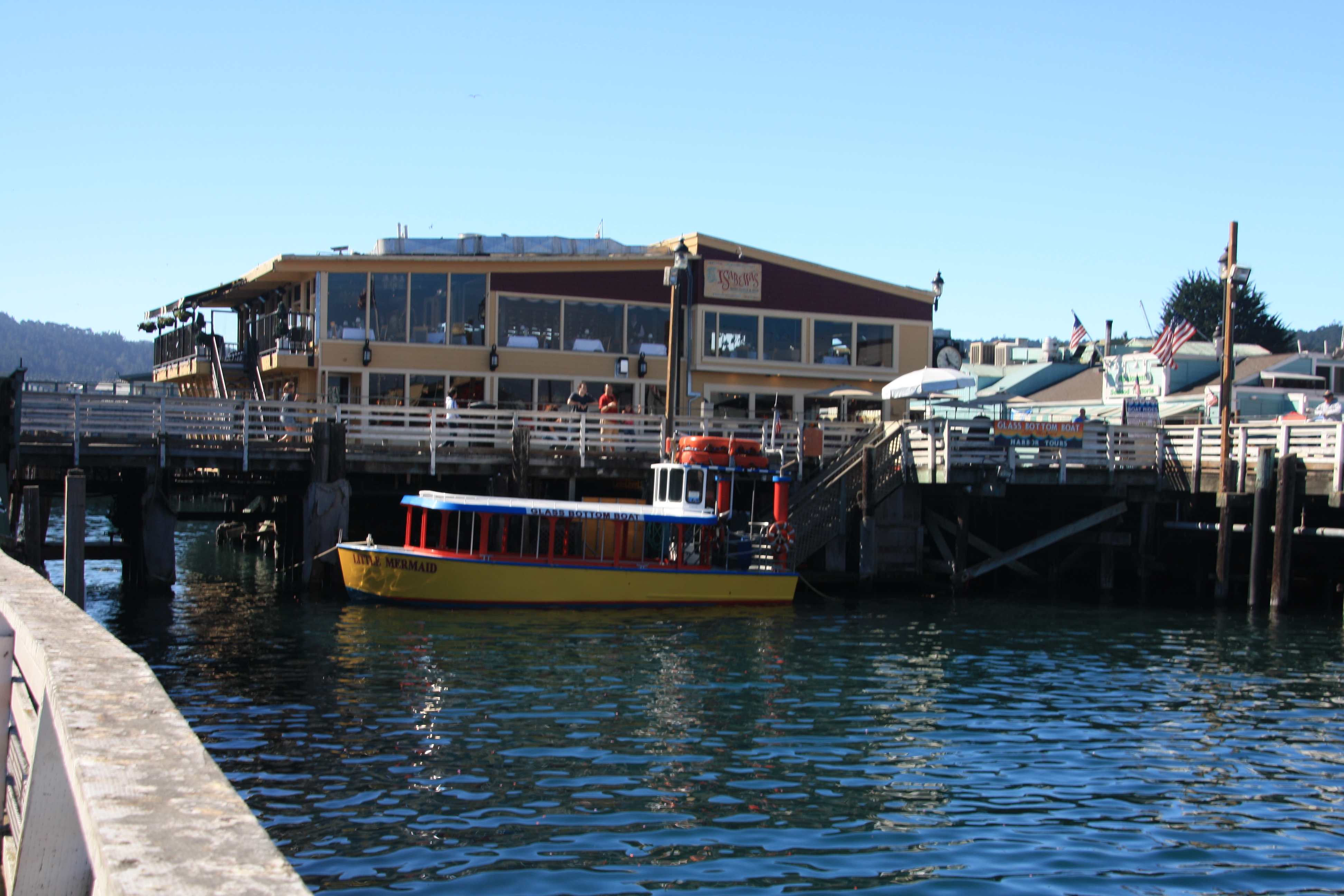 IMG_2686.JPG