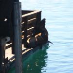 IMG_2688.JPG