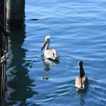 IMG_2695.JPG