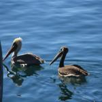 IMG_2697.JPG