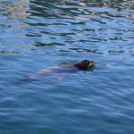 IMG_2698.JPG