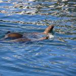 IMG_2704.JPG