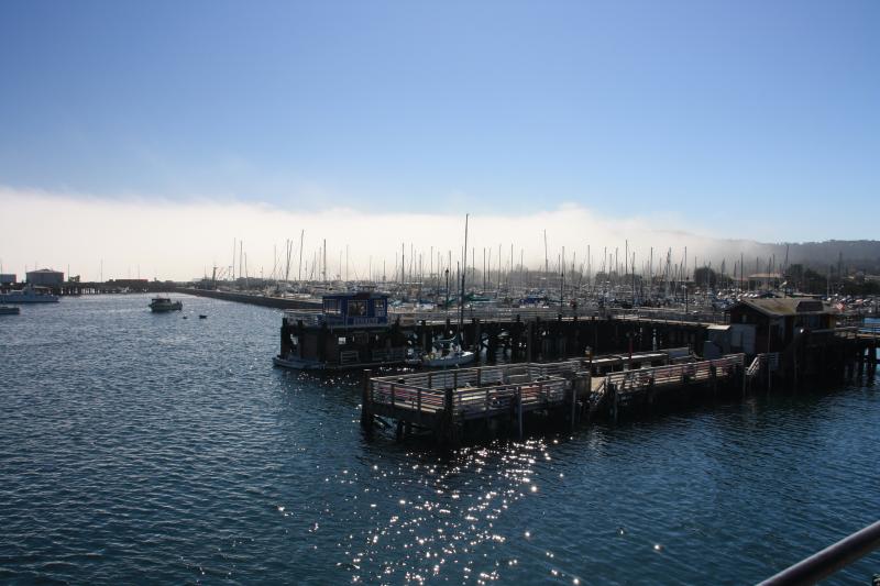 IMG_2716.JPG