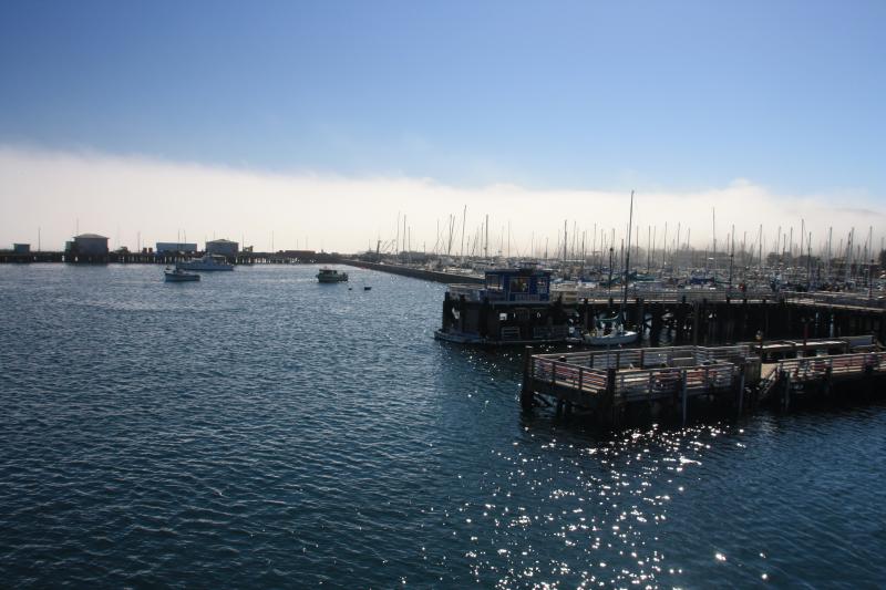 IMG_2717.JPG