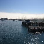 IMG_2717.JPG