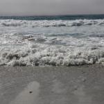 IMG_2850.JPG