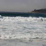 IMG_2854.JPG