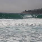 IMG_2855.JPG