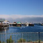 IMG_2726.JPG