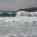 IMG_2856.JPG