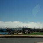 IMG_2731.JPG