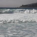 IMG_2859.JPG