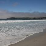 IMG_2863.JPG