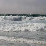 IMG_2866.JPG