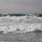 IMG_2867.JPG