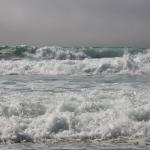 IMG_2869.JPG