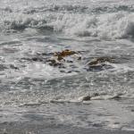 IMG_2880.JPG