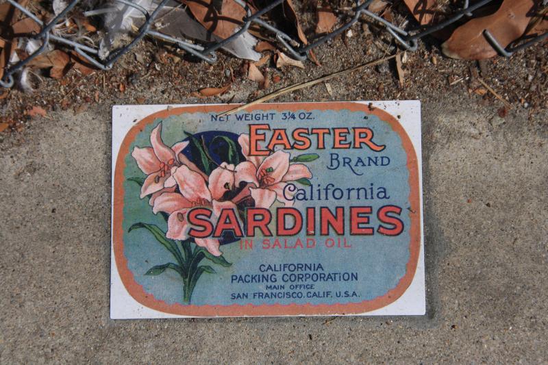 IMG_2763.JPG