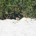 IMG_2886.JPG