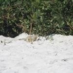 IMG_2887.JPG