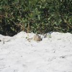 IMG_2889.JPG