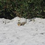 IMG_2890.JPG