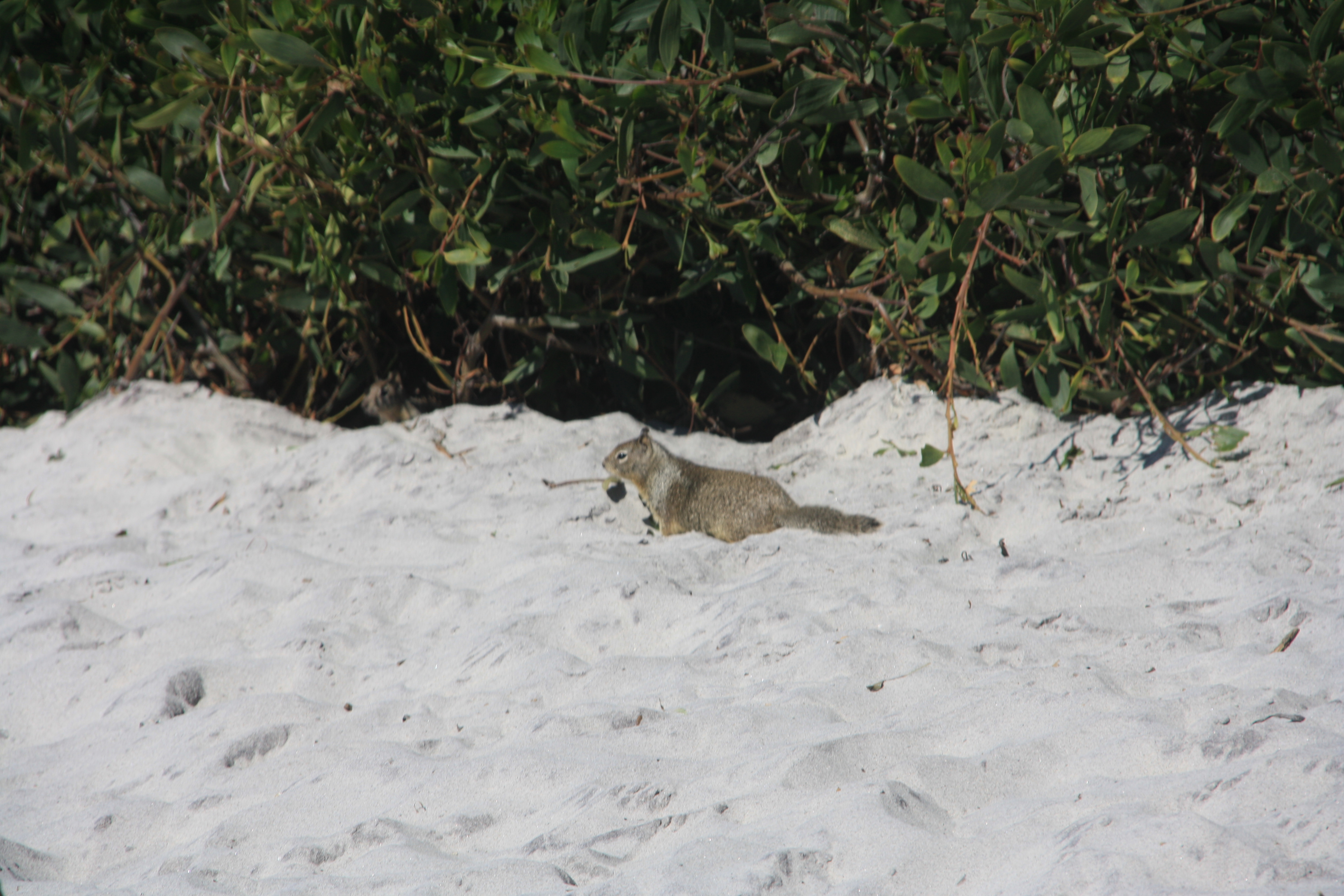 IMG_2891.JPG