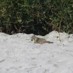 IMG_2891.JPG