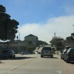 IMG_2774.JPG