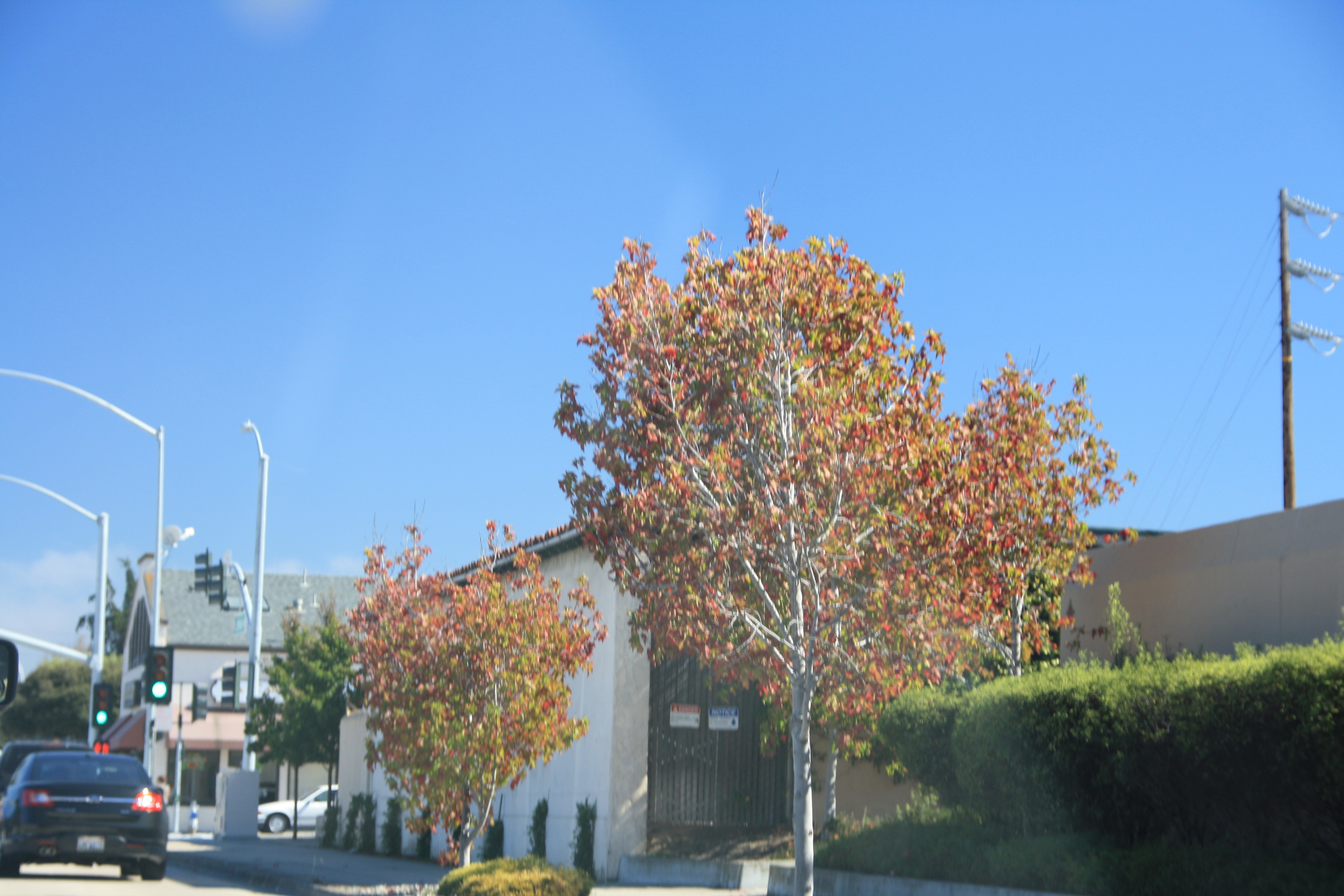 IMG_2777.JPG