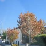 IMG_2777.JPG
