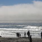 IMG_2896.JPG