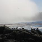 IMG_2997.JPG