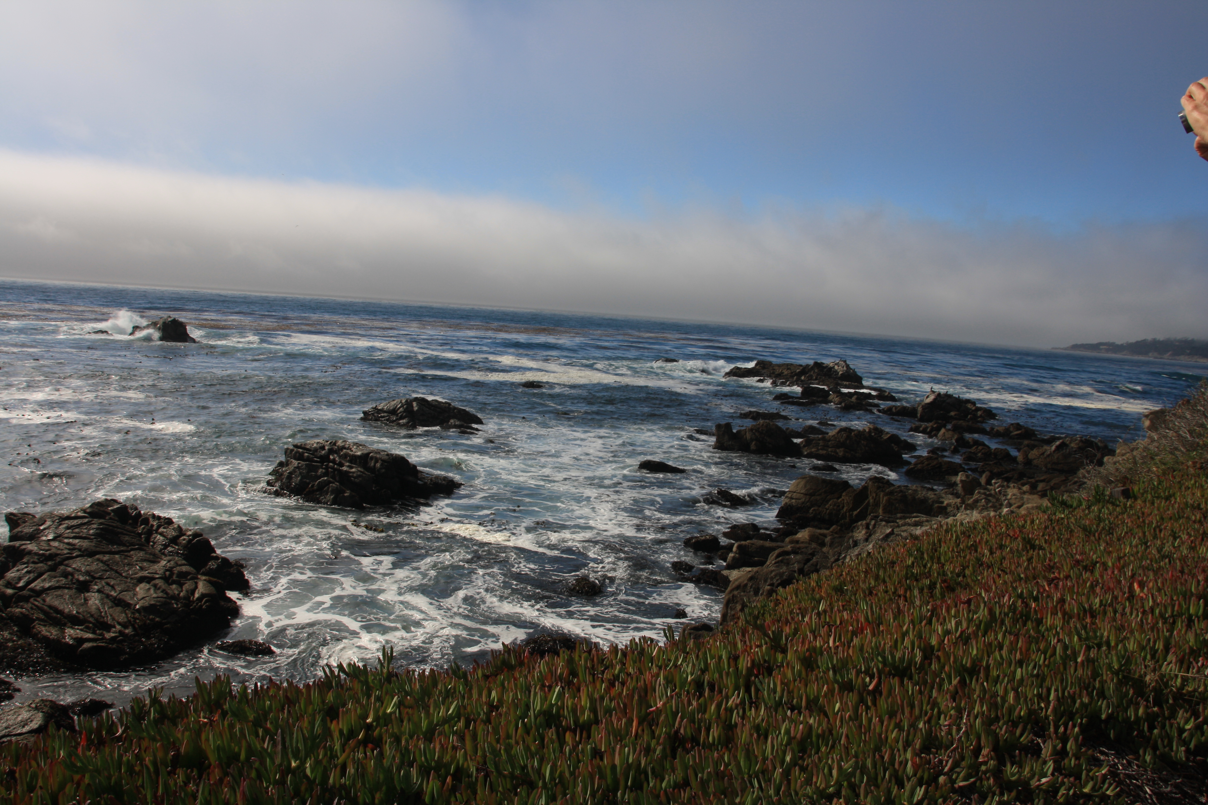 IMG_3006.JPG