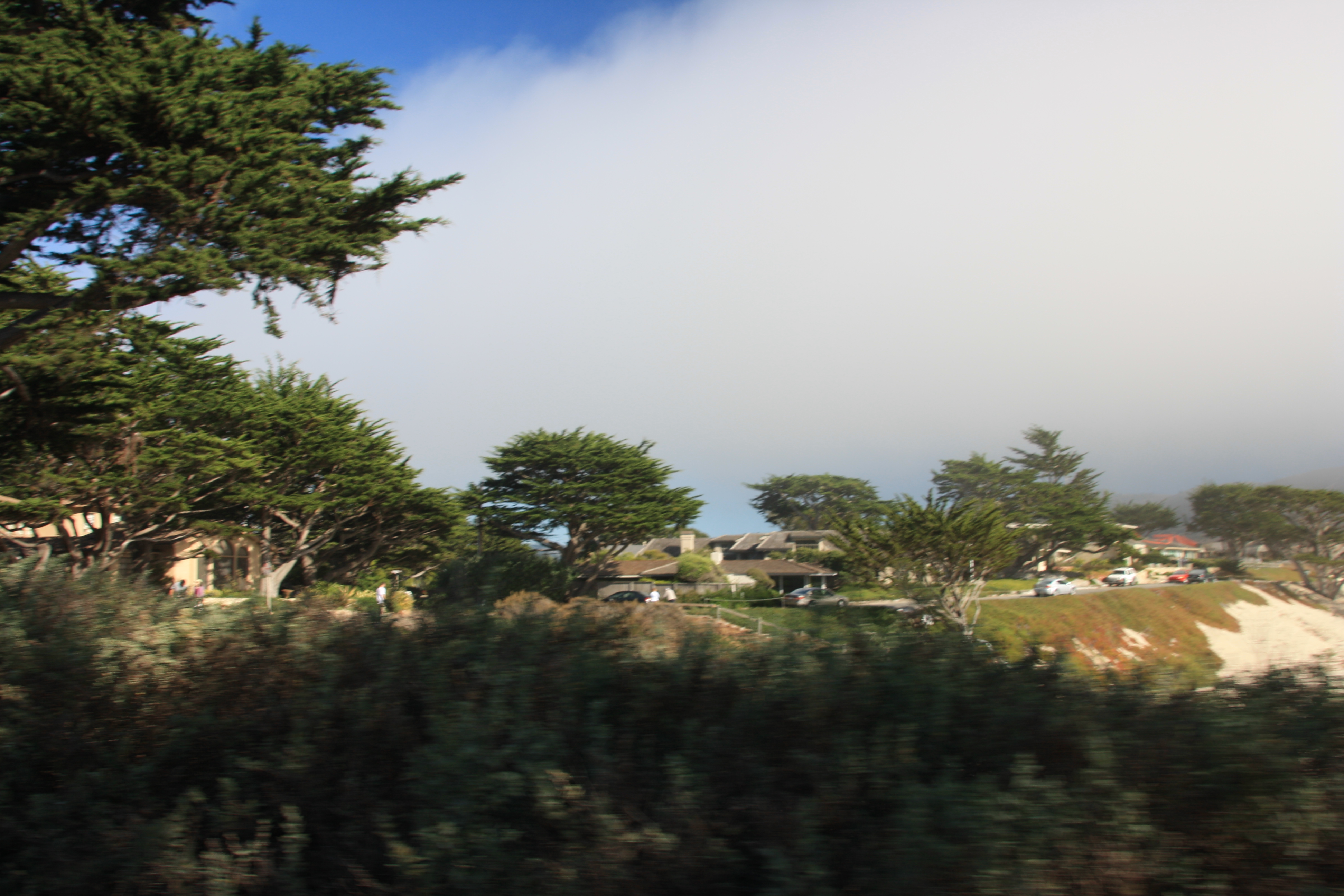 IMG_3025.JPG