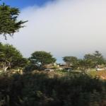 IMG_3025.JPG