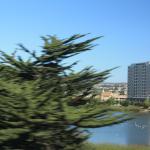 IMG_3053.JPG