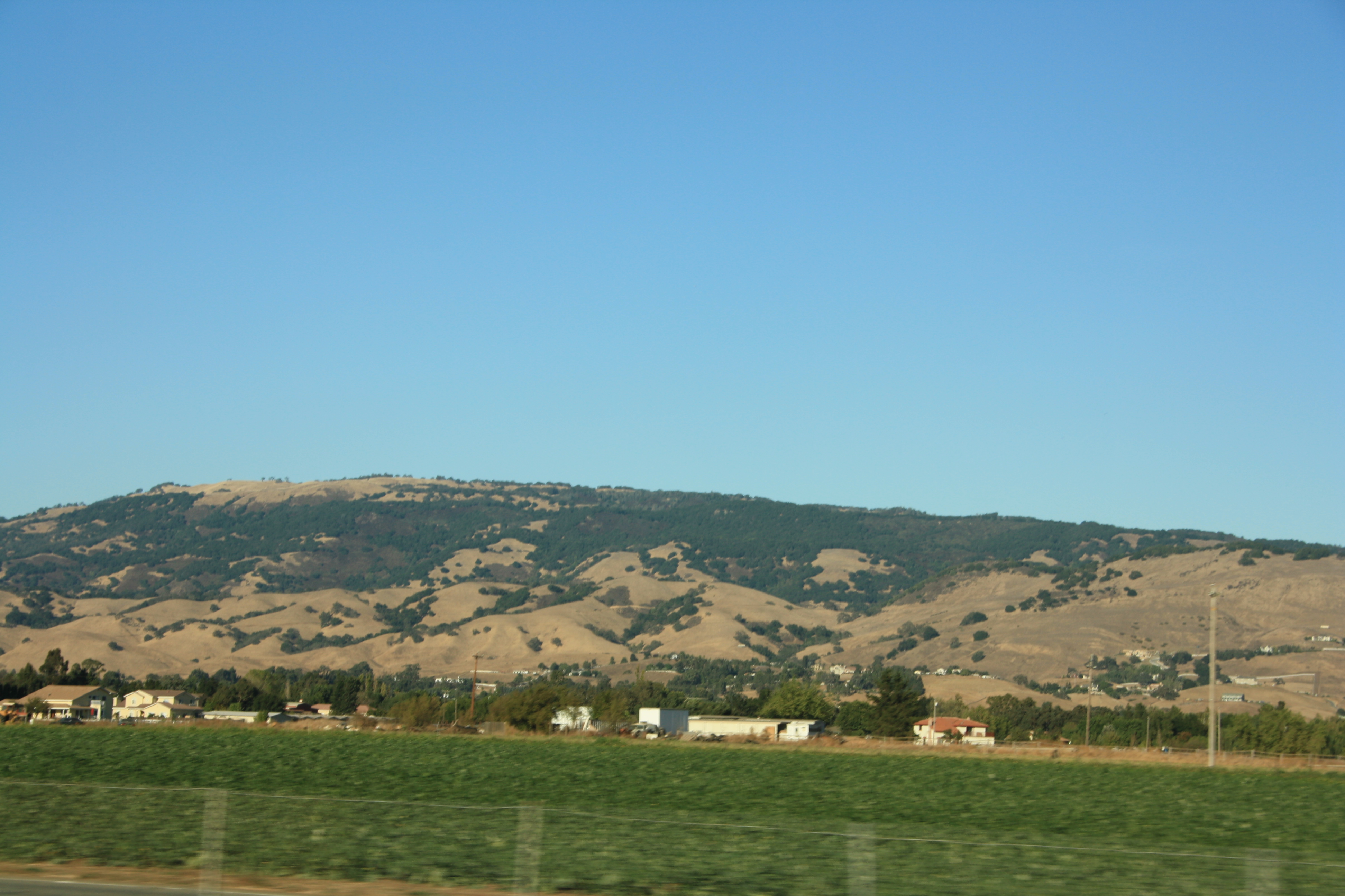 IMG_3119.JPG