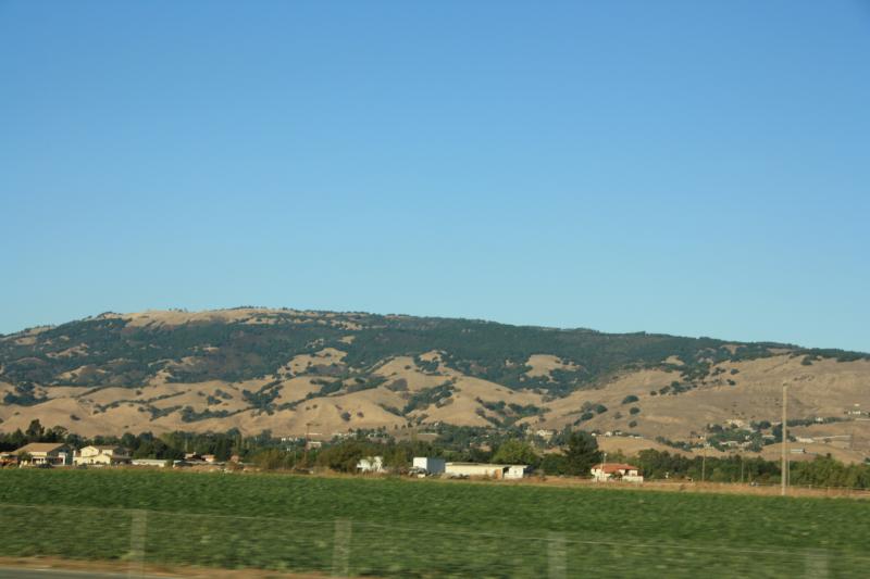 IMG_3119.JPG