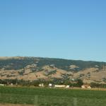 IMG_3119.JPG