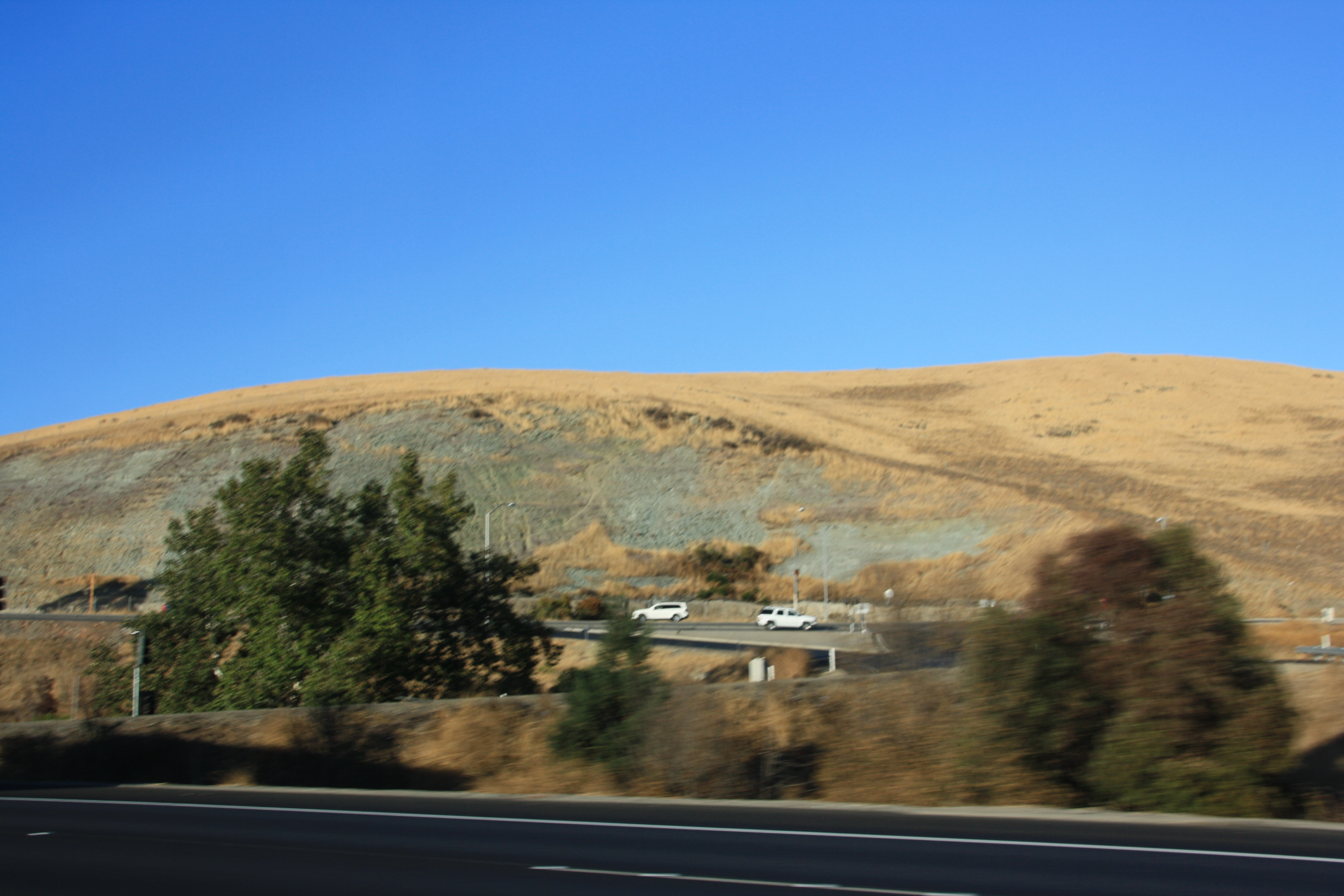 IMG_3121.JPG