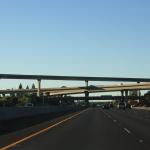 IMG_3125.JPG