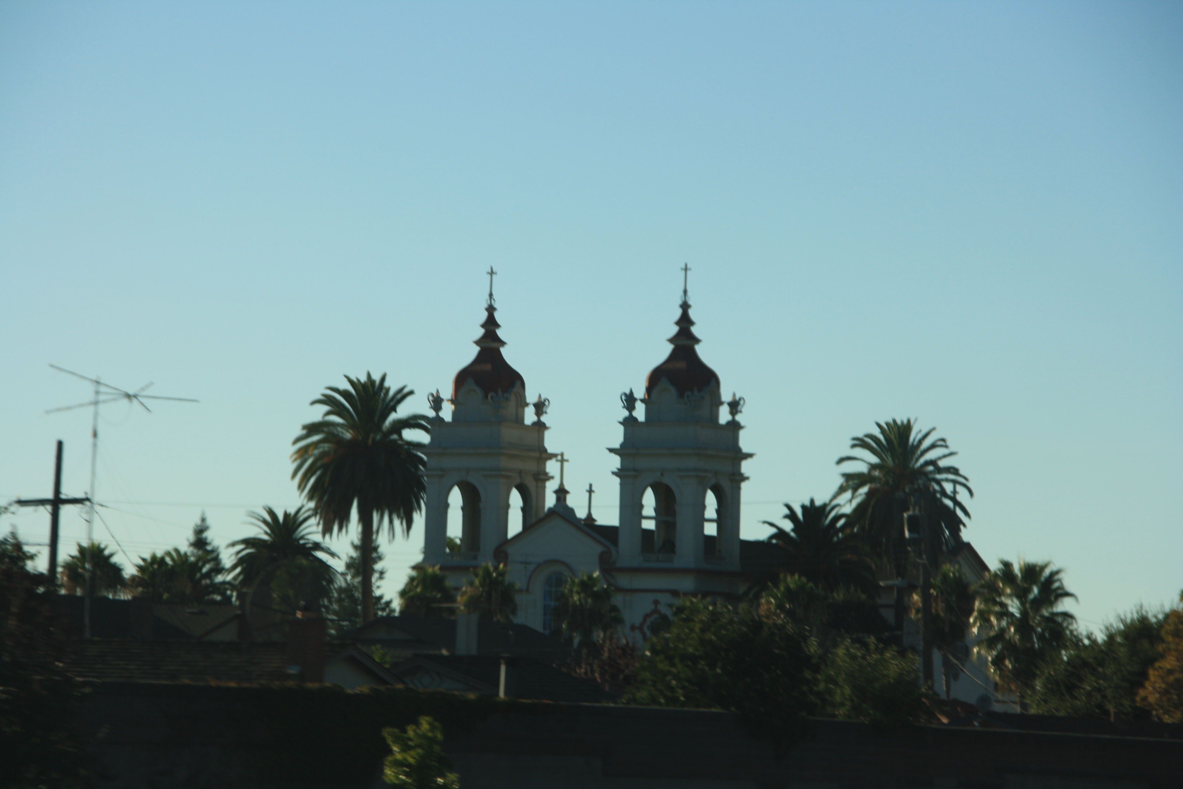 IMG_3126.JPG