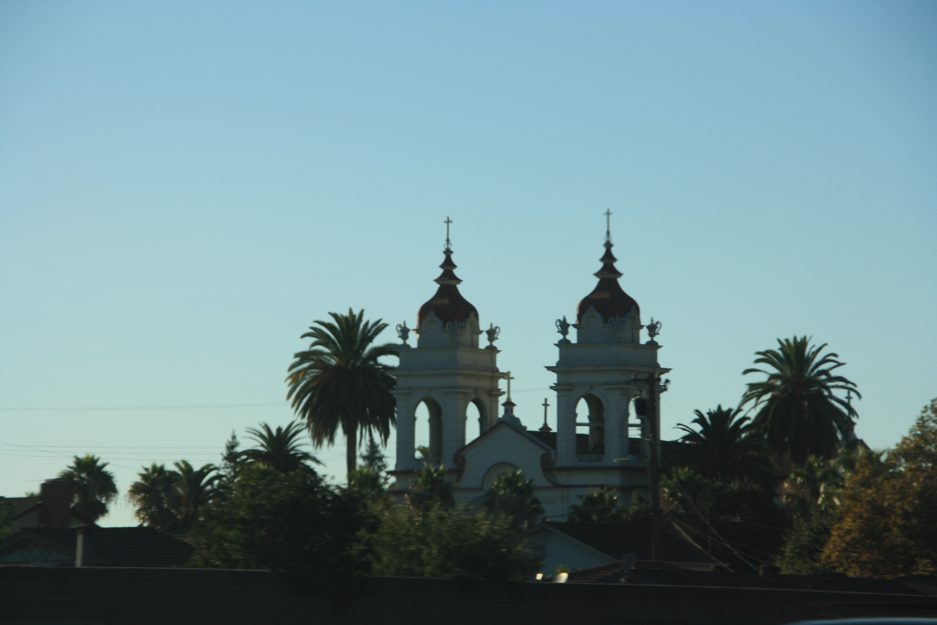 IMG_3128.JPG